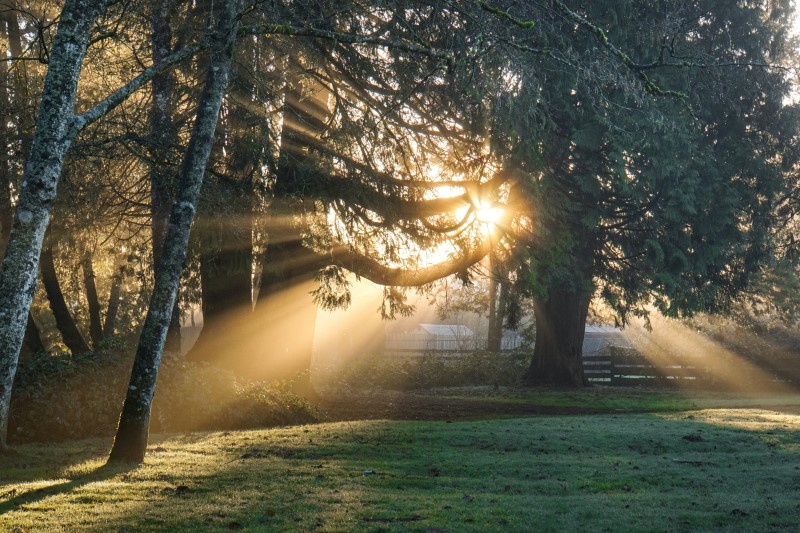 vervaagde barcode veroorzaakt door Sunlight.jpg