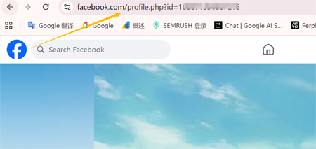 Facebook profiel link
